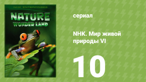 NHK. Мир живой природы VI 10 серия (документальный сериал, 2012)