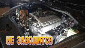 Жесть на СТО или будни автомехаников #289 Туарег не заводится. Шкода и ABS.