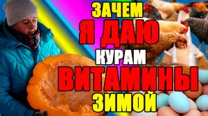 Зачем я ДАЮ ВИТАМИНЫ курам зимой.