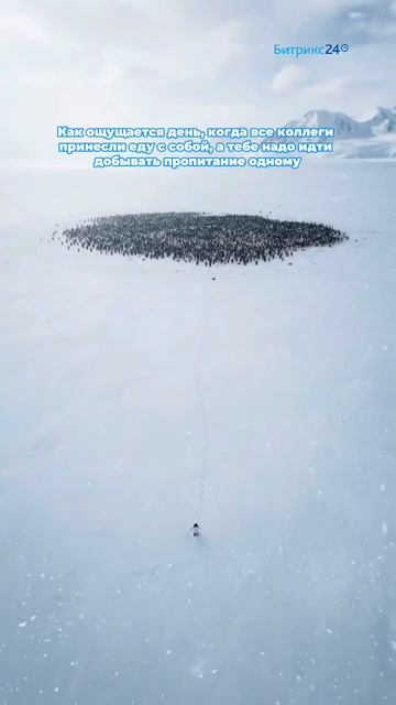 😮💨 смотреть онлайн