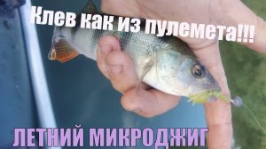 Налупасил кучу окуней на микроджиг!