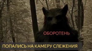 Я запечатлел самую жуткую встречу с оборотнями в Мичигане на камеру слежения