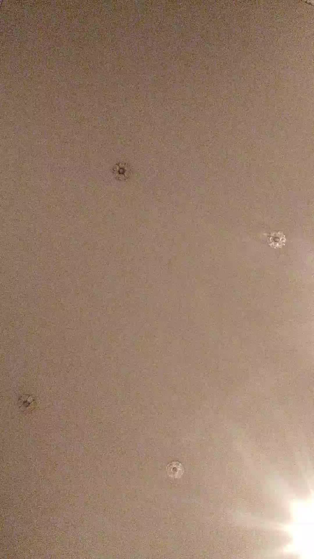 Алексей смотреть онлайн