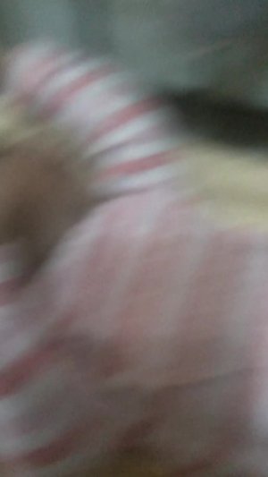 вечер с реборном❤️