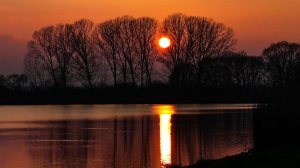 ✨ ОЧЕНЬ КРАСИВАЯ УСПОКАИВАЮЩАЯ МУЗЫКА ДЛЯ СНА 🎵 РАССЛАБЛЯЮЩАЯ МУЗЫКА ДЛЯ ДУШИ В ЛУЧАХ ЗАКАТА