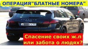 Операция «Блатные номера». Спасение своих ж.п или забота о людях?