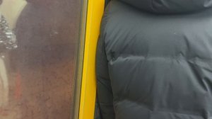 Арбатско-Покровская линия метро (3). Славянский бульвар - Киевская на 81-740/741.4 «Русич».