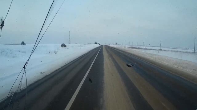 Работаю на СКАНИИ. Везу кирпич 20т. МАЗ 5440 с мотором МЕРСЕДЕС или РЕНО. Обошел как стоячего. смотреть онлайн