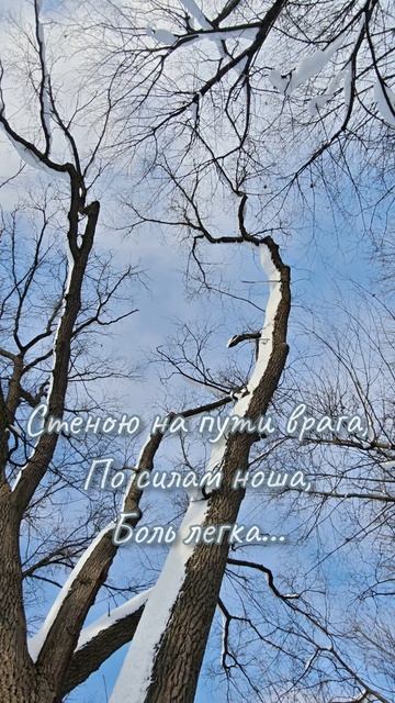Господь мой, Бог, Творец вселенной! Мне силы дай всё превозмочь. Будь рядом! Будь моей опорой!