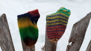 СП Носочки с Таней 2026. Январь