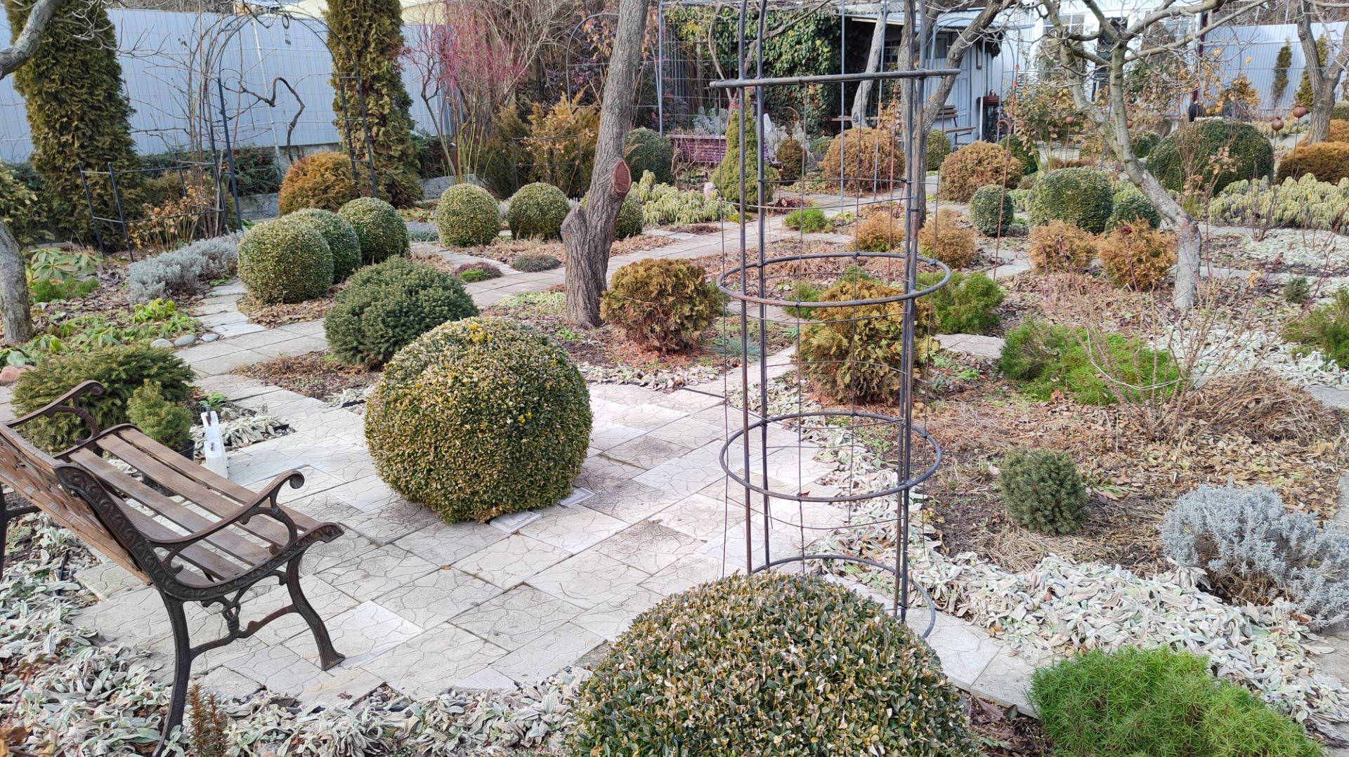 Обрезаю растения: перовскию, злаки, шалфей Иктерина, ирис злаковидный и прострелы 31.01.2026 г. смотреть онлайн