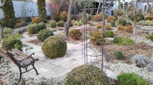 Обрезаю растения: перовскию, злаки, шалфей Иктерина, ирис злаковидный и прострелы 31.01.2026 г.