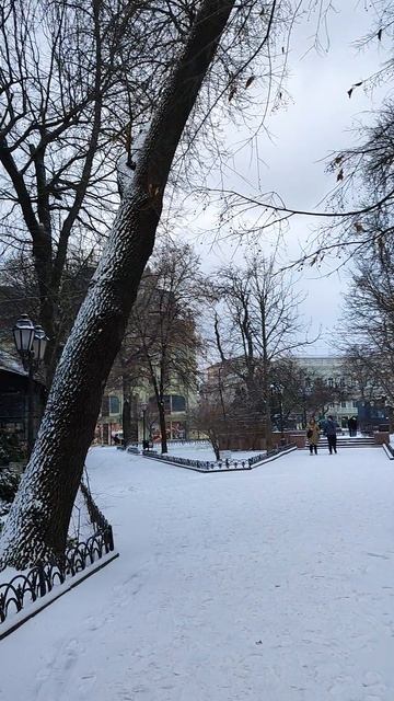 Одесса - Горсад и Утёсов в снегу .31.01.2026 ❄️