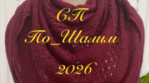 СП По_Шалим Отчёт Январь