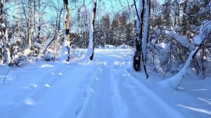 Шашлыки у друга накрылись медным тазом.Не смог доехать до места.Неожиданная проблема все испортила.