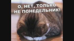 А вы в курсе? Для чего придумали Воскресенье? (сборник приколов №483).