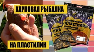 Карповая рыбалка на пластилин.