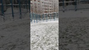 Футбол с Миркой пробиркой