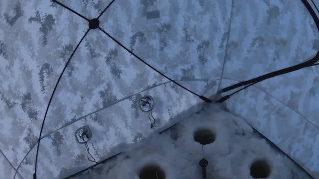 Рыбалка на Финском заливе. Отчёт за 31.01.26. Казакова. Первая рыбалка в 2026 году.