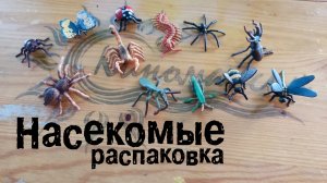 Насекомые (распаковка)
