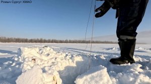 Проверка удочек. 52 день. Закрылся по язю!