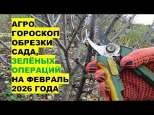 Февраль 2026: Самые Лучшие Дни Для Обрезки Сада и "Зелёных Операций"?!