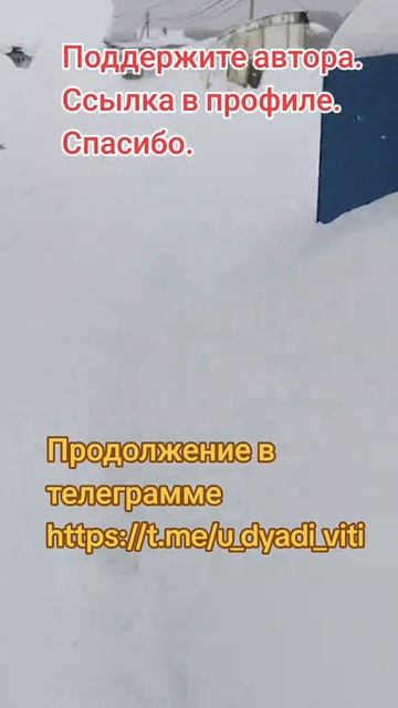 Пенза 01.02.2026, завалило снегом. #снегопад #снег #пенза #сад #огород #дача #теплица #дядявитя