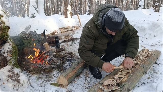 День в зимнем лесу. Мороз -30