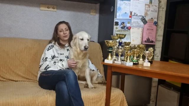 Игорь Алтайский. Отзыв.  Дрессировка лабрадора