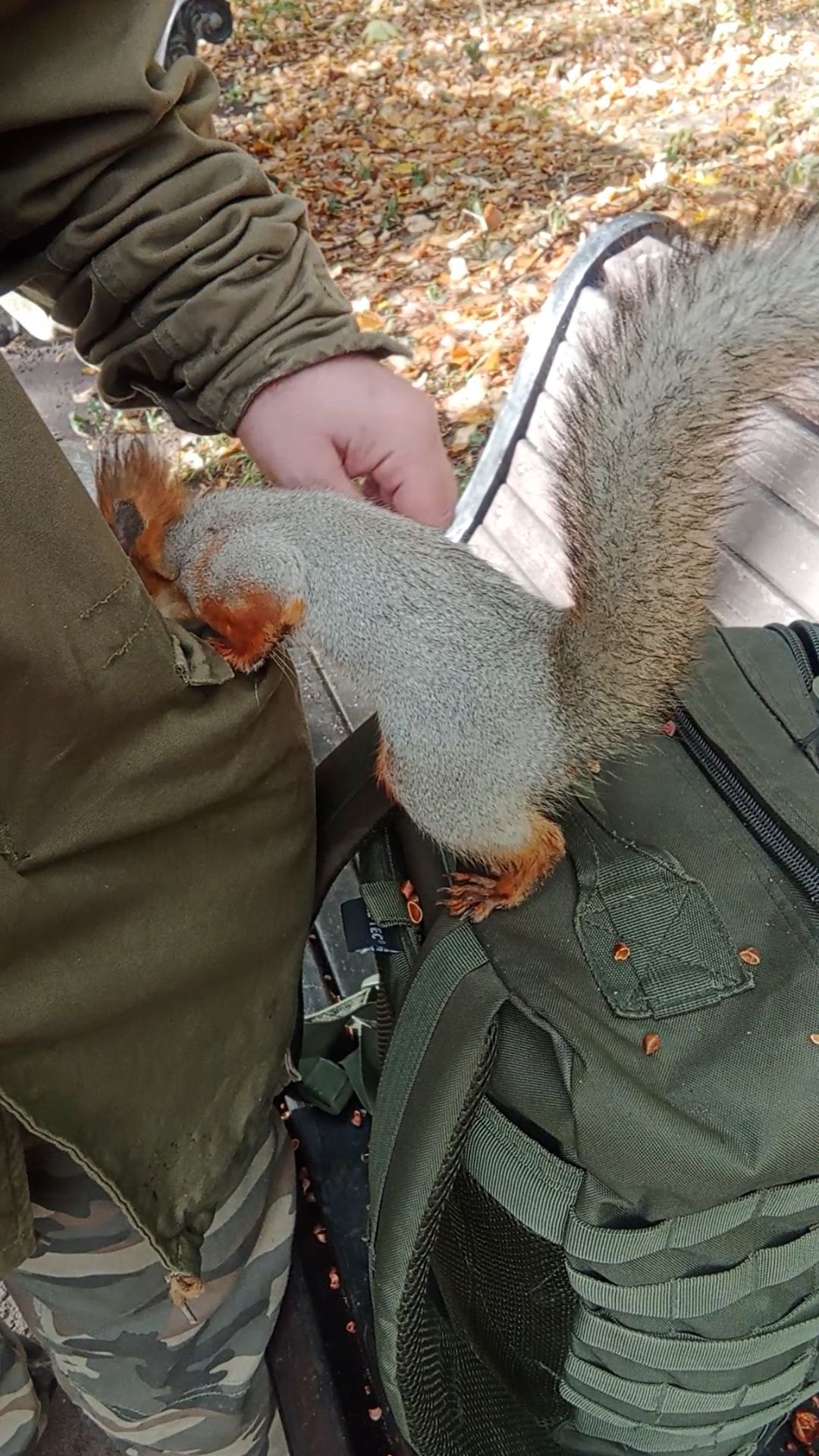 Белка и мой карман смотреть онлайн