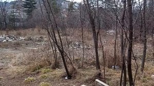 Сатирический спектакль на Казачьей горке Кисловодска. часть-1. 1.02.2026 г.