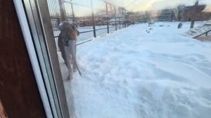 Наше золото вышло меня встречать из вольера 4в вольере 3- Киарарада за львабыл в будке 01.02.2026