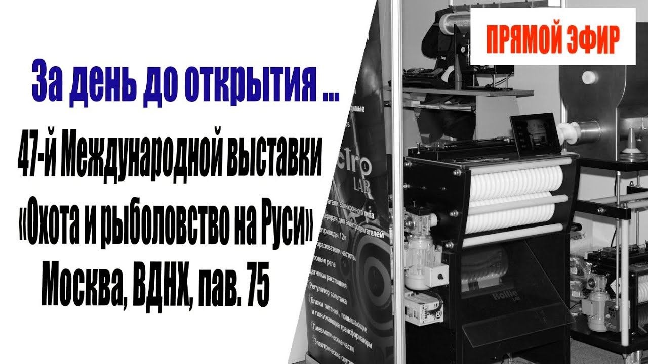 Прямое включение #1 - За день до открытия 47-ой Международной выставки "Охота и рыболовство на Руси" смотреть онлайн