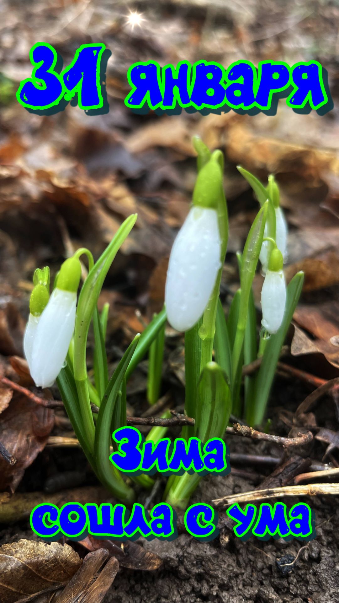 Подснежники в январе смотреть онлайн