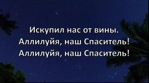 1 февраля 2026, "Церковь Святой Троицы" Евангельских Христиан-Баптистов г.Перми