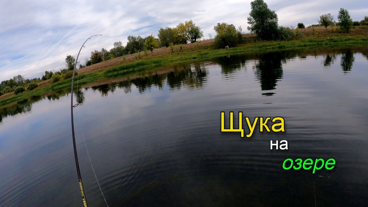 Видно как щука атакует приманки на мелком озере смотреть онлайн
