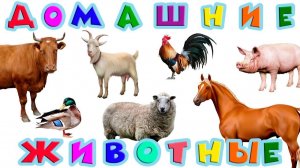 Учим Животных  🐷🐮 Домашние животные