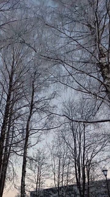 прогулкав парке