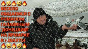 🤣🤣🤣 Весело общаемся  с Романом Галавиным "Донецким"  на ярмарке голубей в г.Шахты. Птичий рынок.