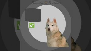 И этот тренд дошёл до меня..