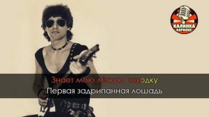 Караоке Альфа - Гуляка