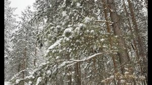 Снегоход Аodes против brp 01.2026