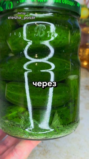 Быстрые малосольные огурцы на минеральной воде смотреть онлайн