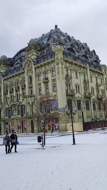 Заснеженная Дерибасовская, 31.01.2026