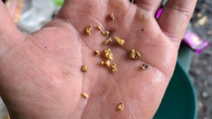 Музыка в ленту