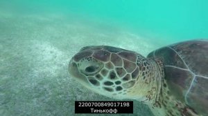 Уголовники