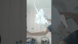 VID_20260201_131108.mp4