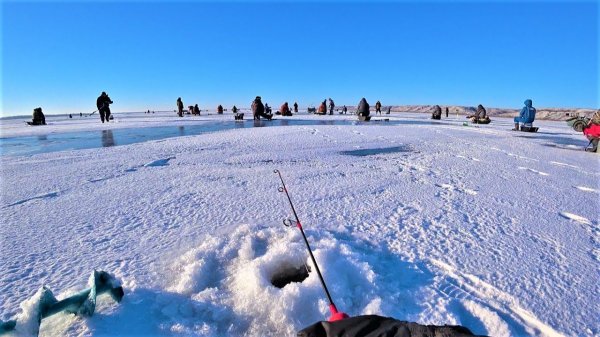 На льду АНШЛАГ!!!! Первая зимняя рыбалка на судака