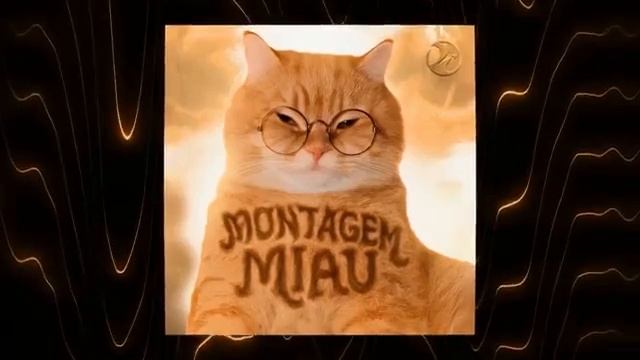 MONTAGEM MIAU Reversed