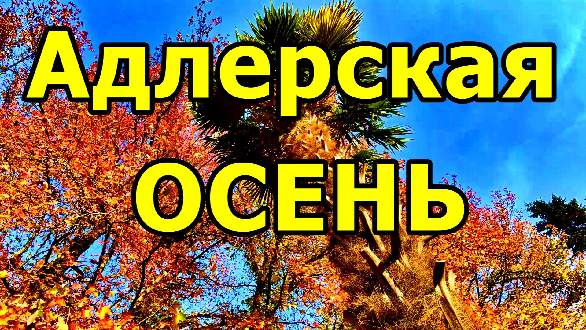 БАРХАТНЫЙ НОЯБРЬ В АДЛЕРЕ 2025. ПАРК ЮЖНЫЕ КУЛЬТУРЫ: ОСЕННИЕ ФОТОСЕССИИ, КРАТКАЯ ИСТОРИЯ ПАРКА. смотреть онлайн